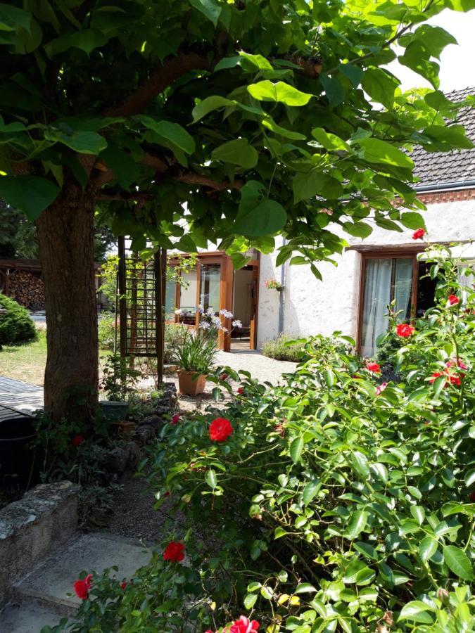 L'Orme Seul, Maison D'Hotes Vineuil  Exterior foto