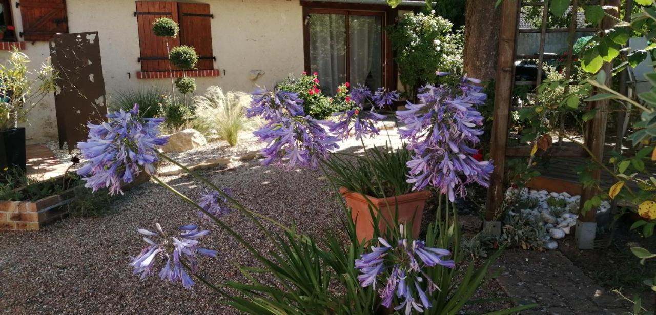 L'Orme Seul, Maison D'Hotes Vineuil  Exterior foto