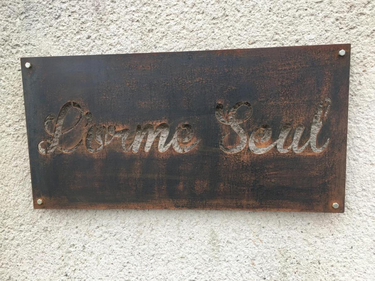 L'Orme Seul, Maison D'Hotes Vineuil  Exterior foto