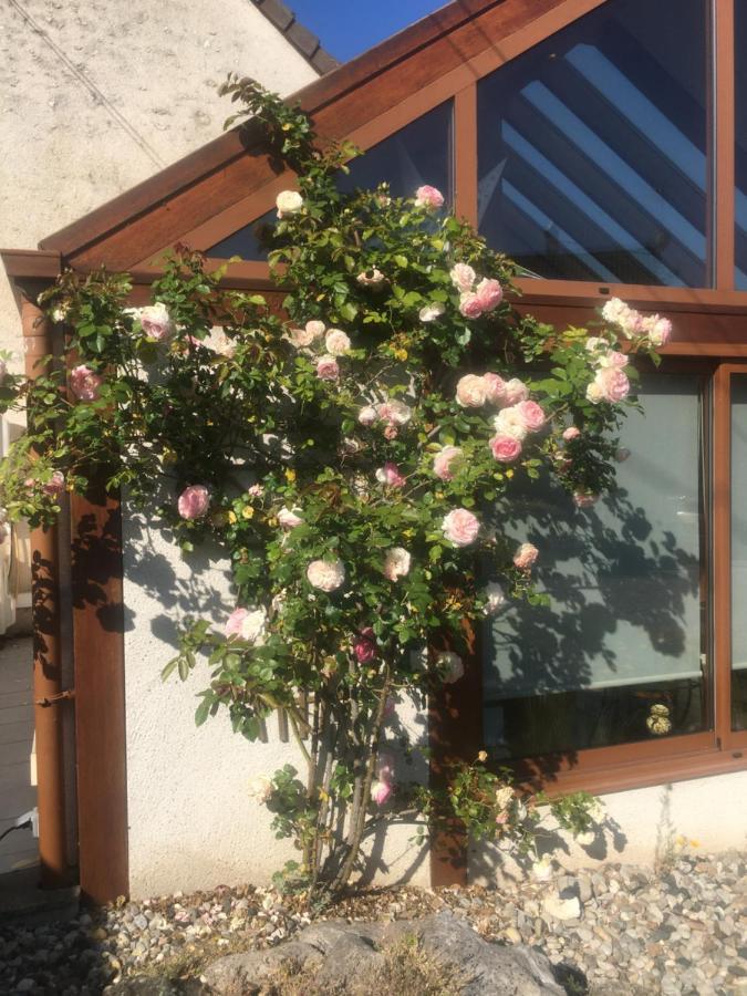 L'Orme Seul, Maison D'Hotes Vineuil  Exterior foto